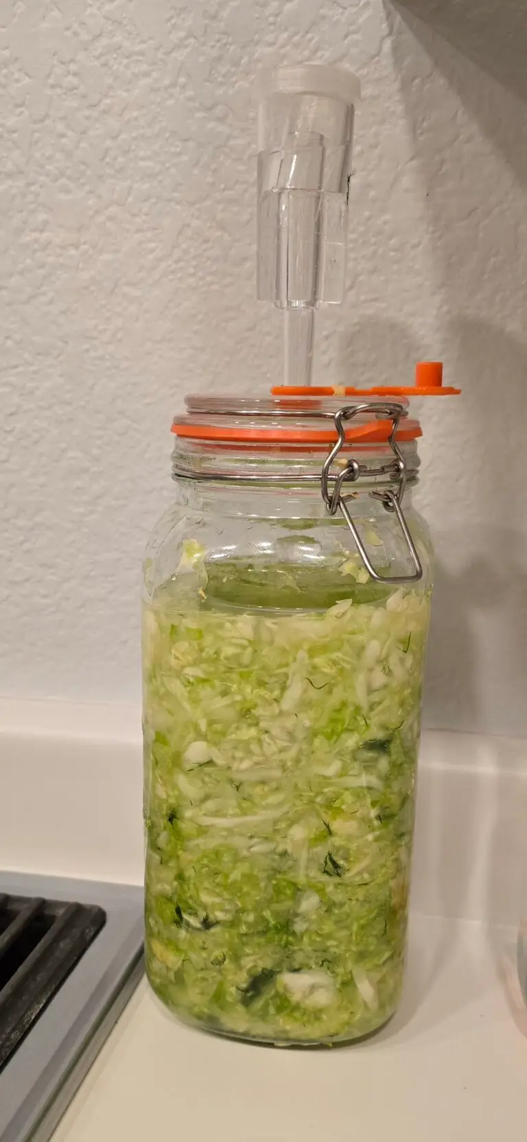 Basic Sauerkraut