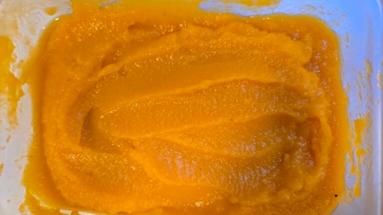 Home-made Butternut Squash Puree