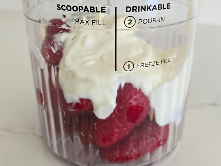 Frozen Yogurt – Ninja Creami