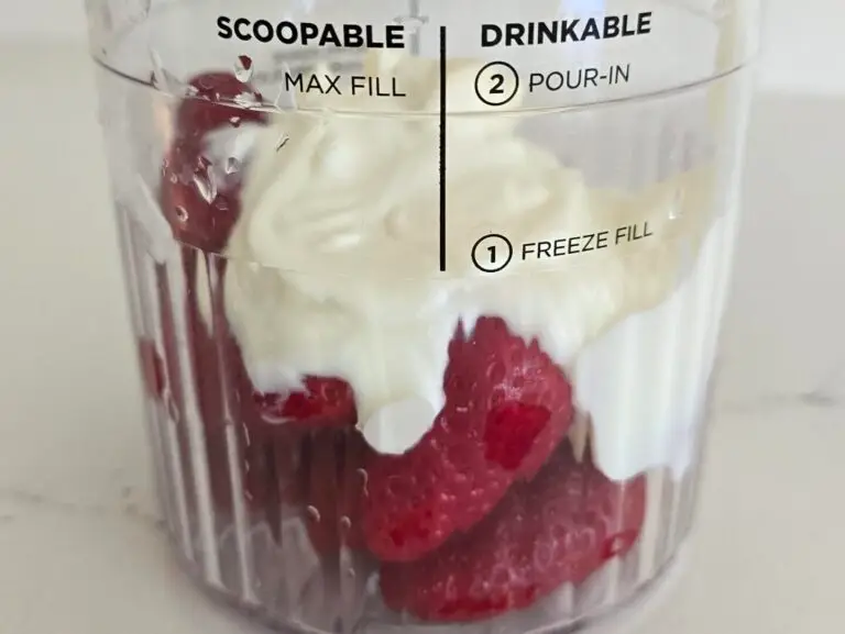 Frozen Yogurt – Ninja Creami