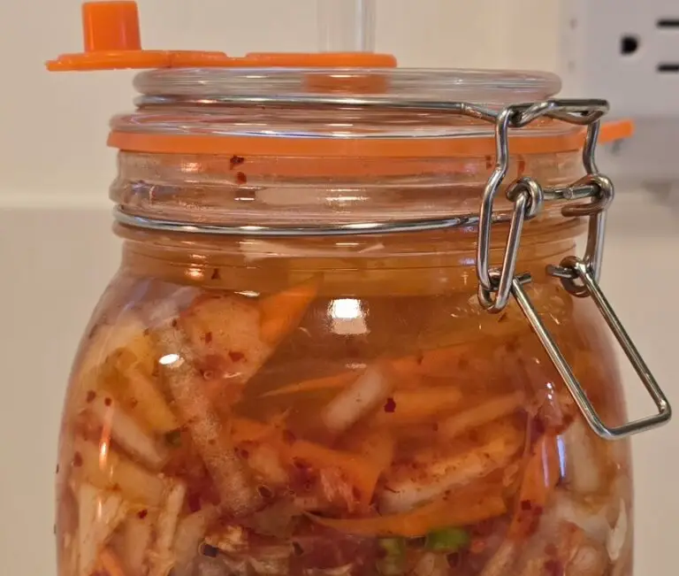 Vegan Kimchi – a four flavor powerhouse