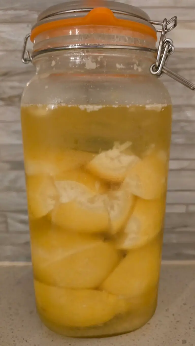 Fermented Lemons
