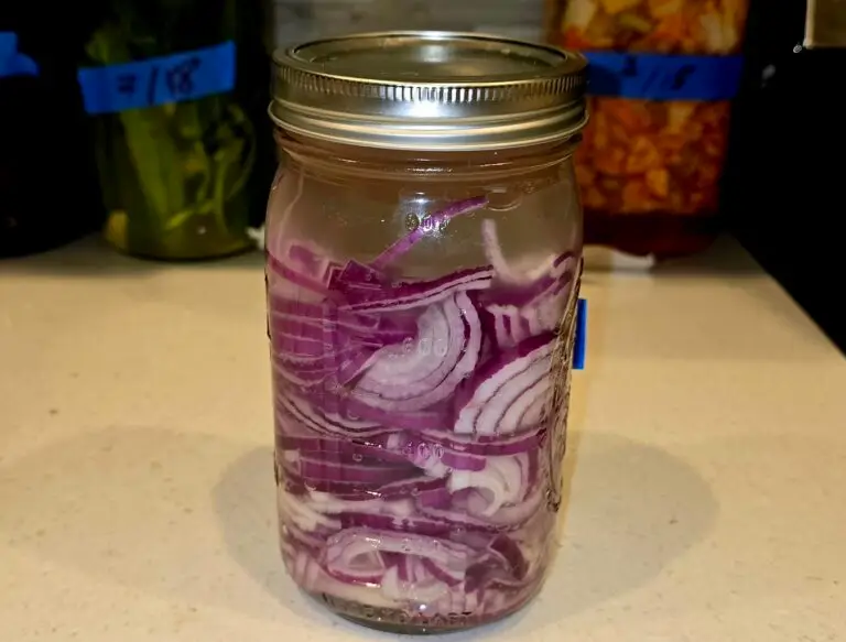 Fermented Onions