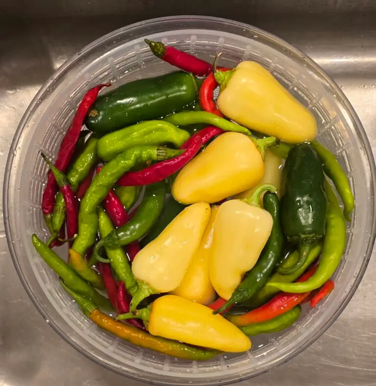 Fermented Hot Sauce